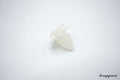 VW Käfer Clip für Stoßstangengummi, ab Bj. 08/74