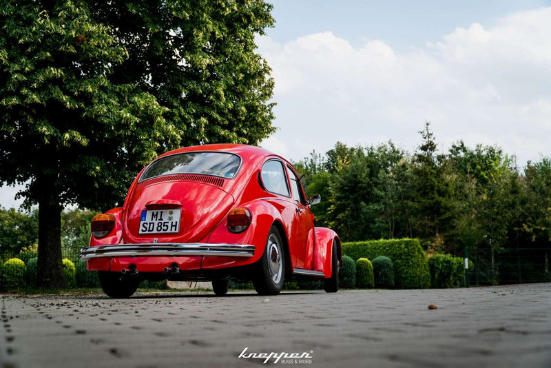 1200 Mexico Käfer Rot