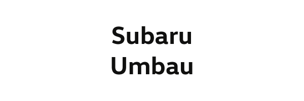 Subaru Umbau