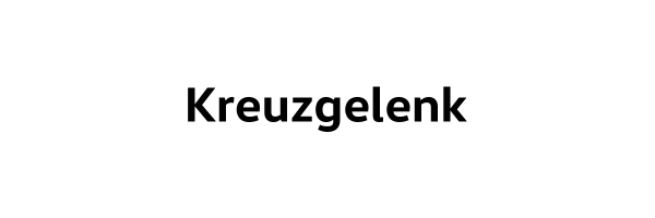 Kreuzgelenk