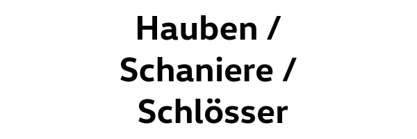 Hauben/Schaniere/Schlösser