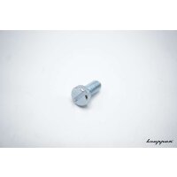 Zylinderschraube mit Schlitz, M6 x 12mm, 4.8, Stahl verzinkt